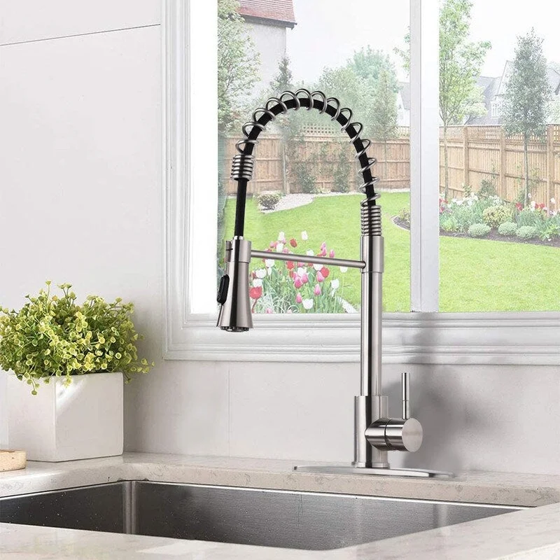 18.9 inch 2 function sprayer can pull down the kitchen sink faucet