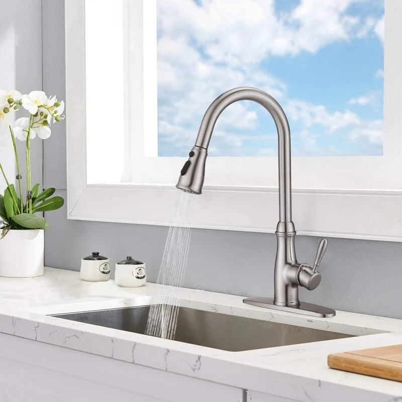 3-Function Pulldown Kitchen Faucet - 9.06inches wx1.2inches dx18.94inches h