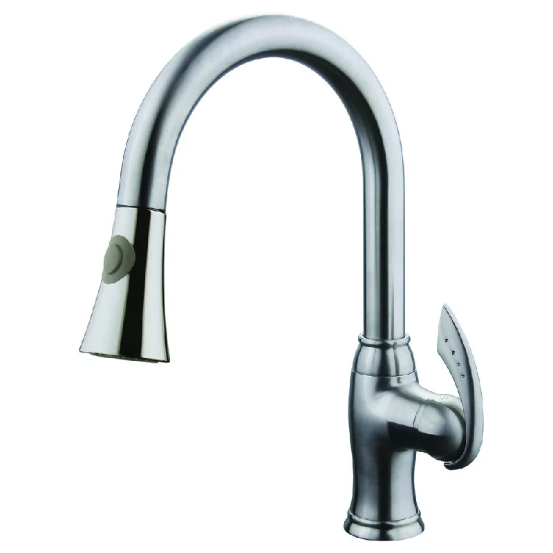 AA Warehousing Robbie Single Handle Brushed Nickel Kitchen Faucet