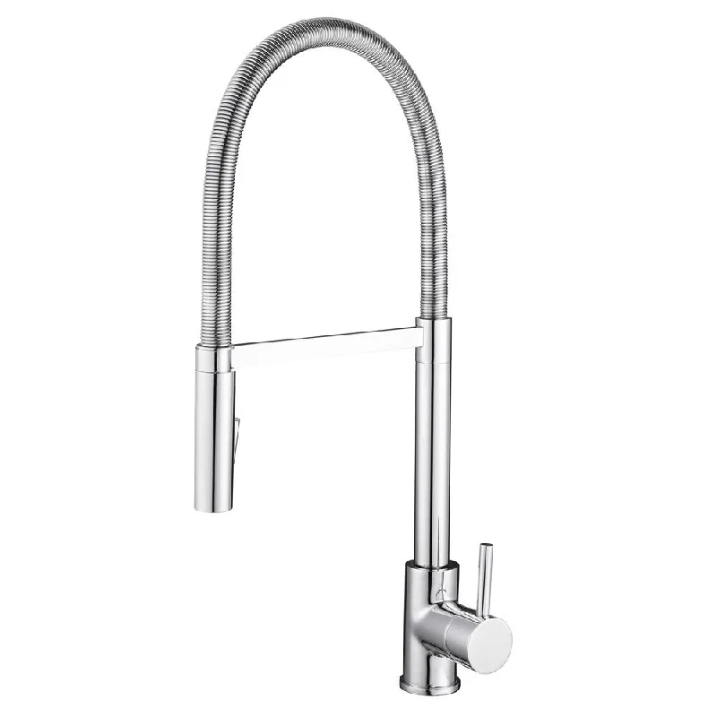 Ancona Barista Pull-down Kitchen Faucet in Polished Chrome