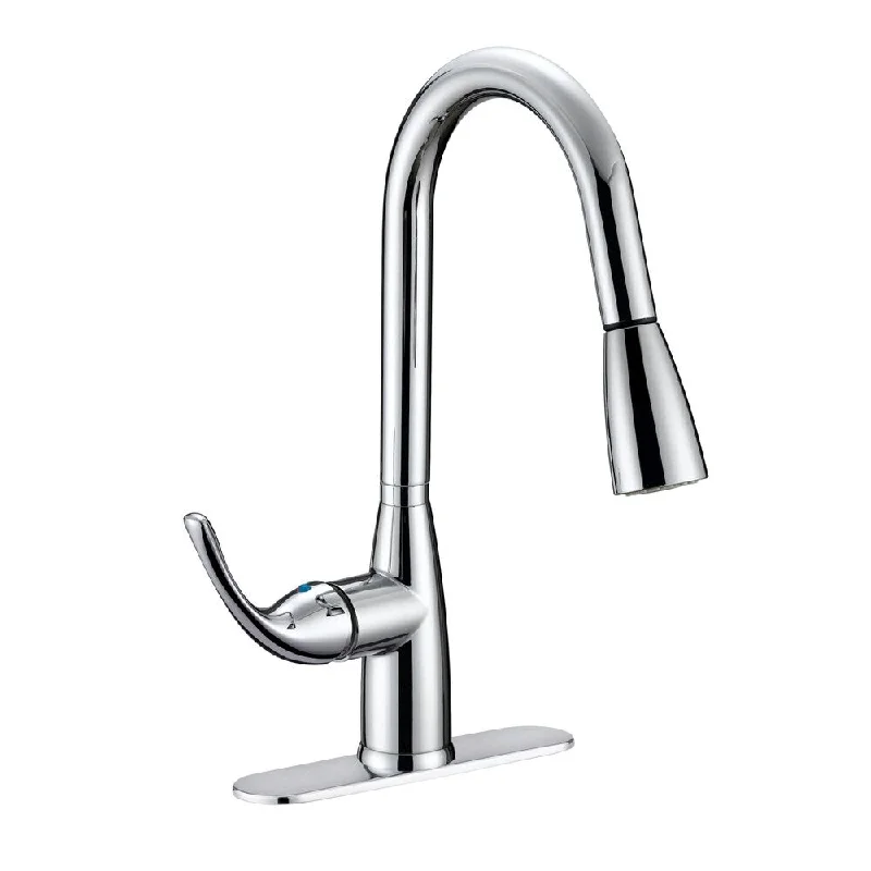 AquaPlumb Single Handle Kitchen Sink Faucet with Pull-Down Sprayer, Polished Chrome