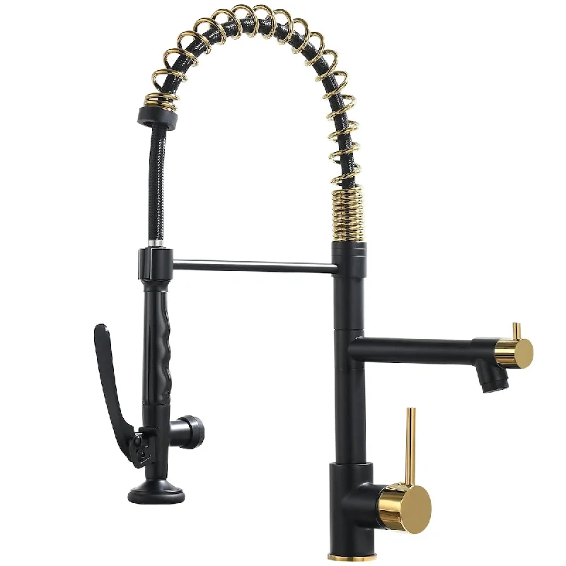 Black&Gold Kitchen Faucet with Sprayer,Commercial Pull Down Kitchen Faucet for Kitchen Sink