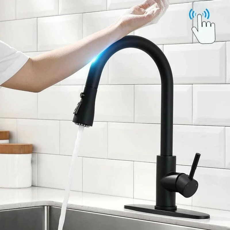 Black Kitchen Sink Faucet