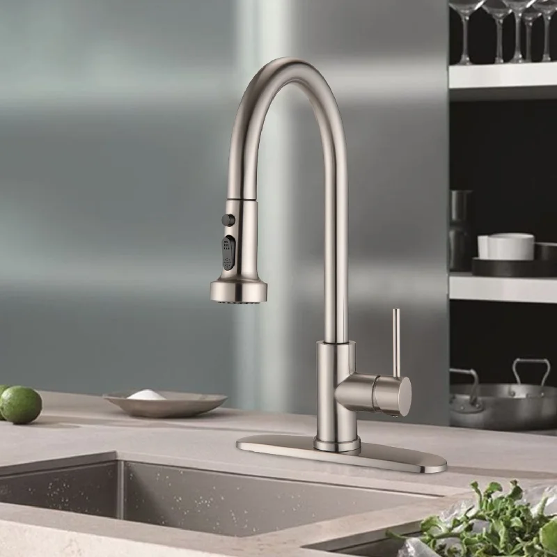 DORNBERG Stainless Steel Pull Down Kitchen Faucet with Sprayer