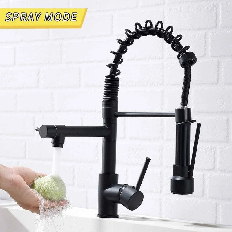 EPOWP 2 Spout Kitchen Faucets Pull Down Sprayer Sink Faucet