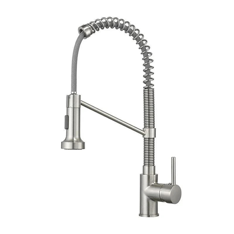 EPOWP Kitchen Faucet with Dual Function Pull-Down Sprayhead