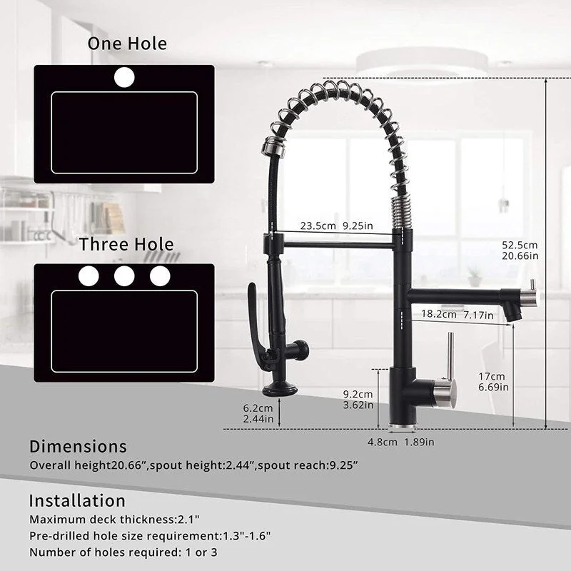 EPOWP Kitchen Faucet with Pull Down Sprayer 2 Spout Sink Faucets