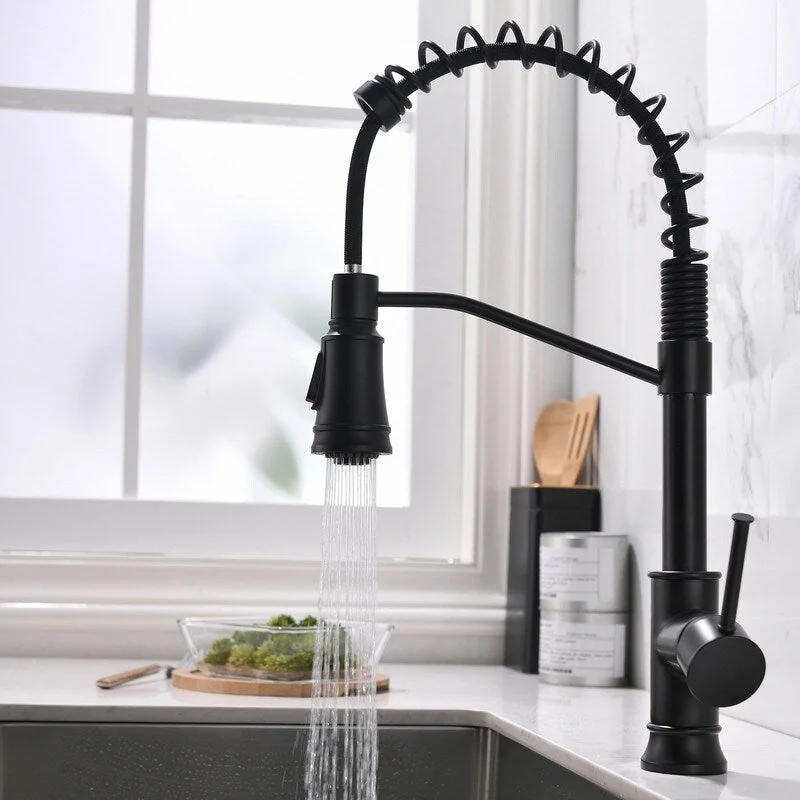 EPOWP Single-Handle Kitchen Faucet swivels 360 degrees