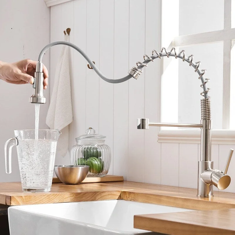 EPOWP Single-Handle Kitchen Faucet with Pull Down Sprayer