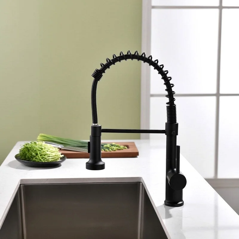 EPOWP Single Handle Pull Down Sprayer Spring Kitchen Sink Faucet