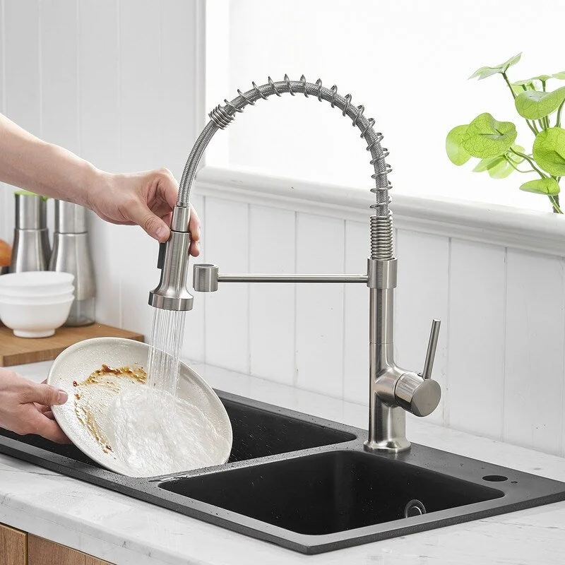 EPOWP Single Lever Pull Down Sprayer Spring Kitchen Sink Faucet