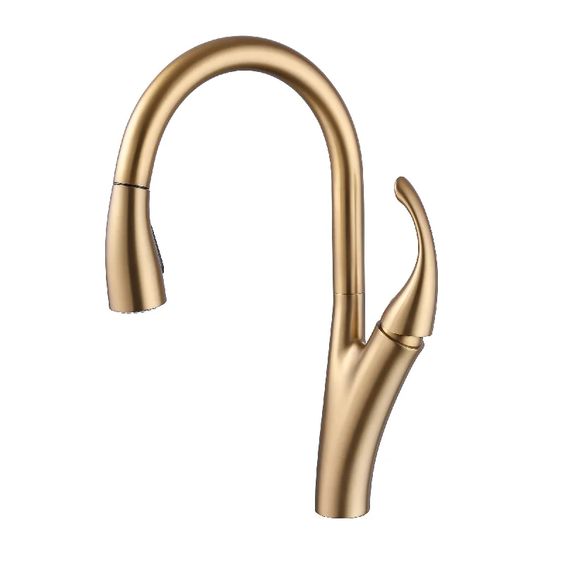 Extraordinary Pull Down Single Handle Kitchen Faucet in Gold - Brushed Titanium Gold