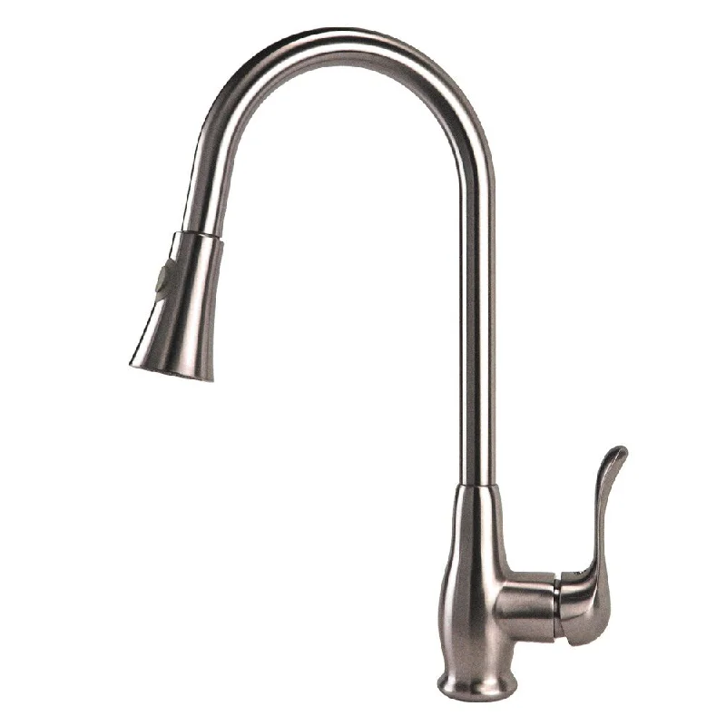 Fontaine Adriana Brushed Nickel 1-Handle Kitchen Faucet