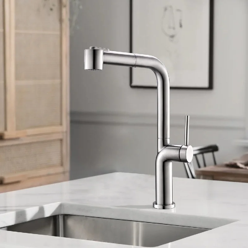 Kitchen Faucet Pull Out Single Handle Sink Kitchen Faucet