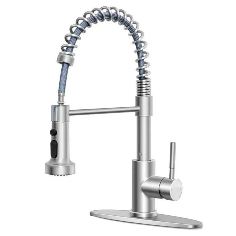 Kitchen Faucet,with Pull Down Sprayer