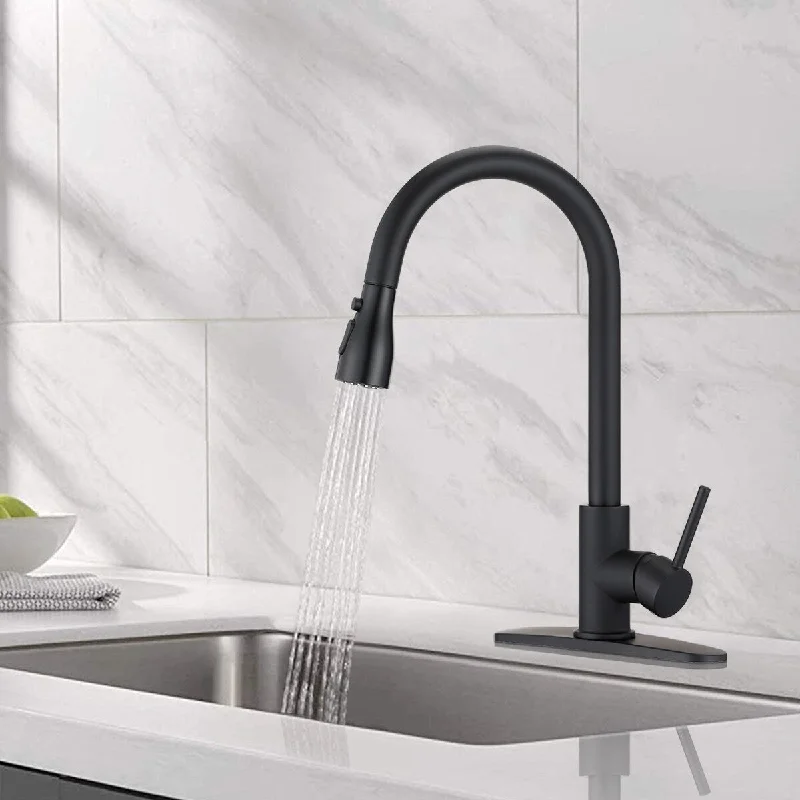 Kitchen Sink Faucets with Pull Down Sprayer Matt Black