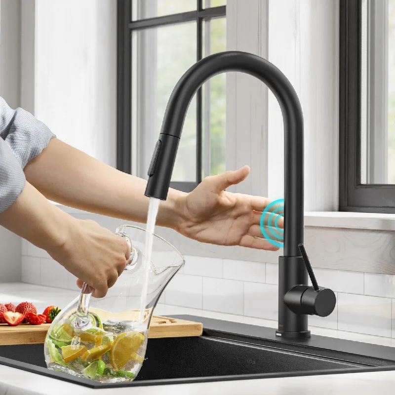 Oletto Contemporary Single-HandleTouch Kitchen Sink Faucet with Pull Down Sprayer in Matte Black