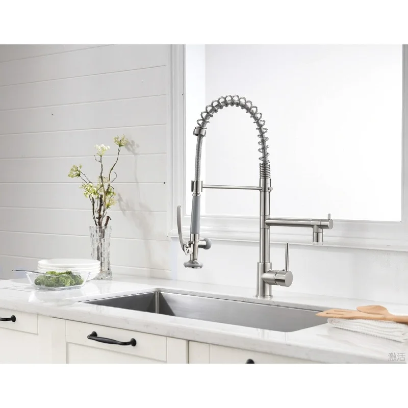 Pull-down 2-function Spray Swivel Kitchen Faucet - Double Outlet