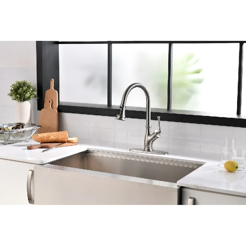 Pull Down Single Handle Kitchen Faucet