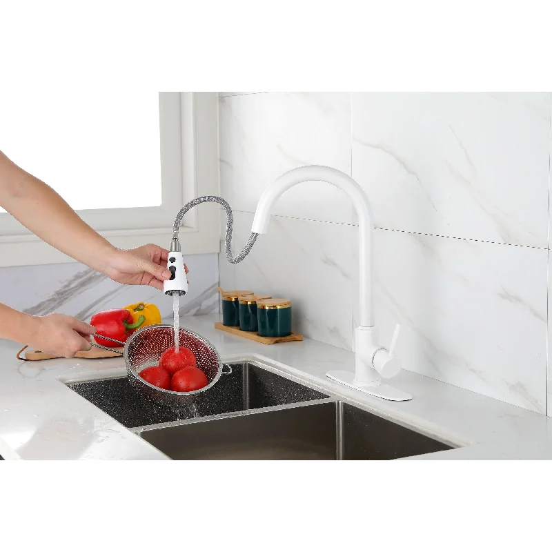 Pull Out Spray Kitchen Faucet