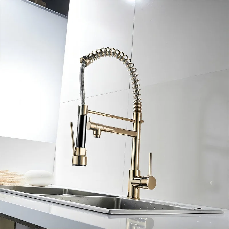 Pull Out Sprayer Kitchen Faucet