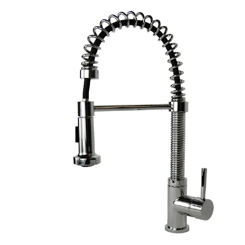 Residential Coil Spring Chrome Kitchen Faucet