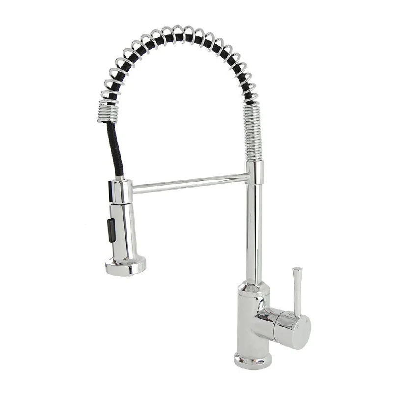 S-Series Chrome Residential Spring Coil Kitchen Faucet