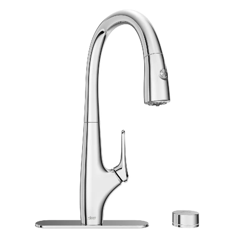 Saybrook Filtered Kitchen Faucet in Polished Chrome