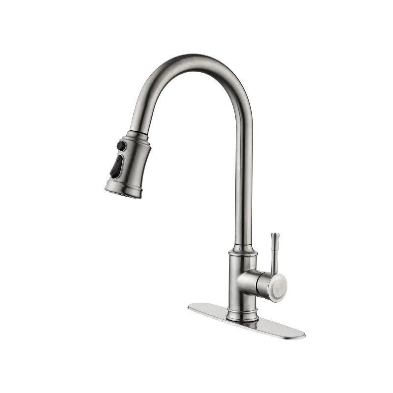 Single Handle High Arc Pull Out Kitchen Faucet,Single Level Stainless Steel Kitchen Sink Faucets