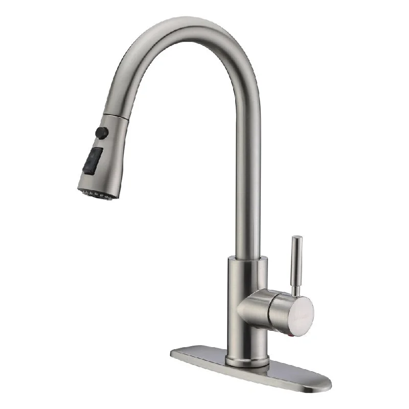 Single Handle High Arc Pull Out Kitchen Faucet,Single Level Stainless Steel Kitchen Sink Faucets with Pull Down Sprayer