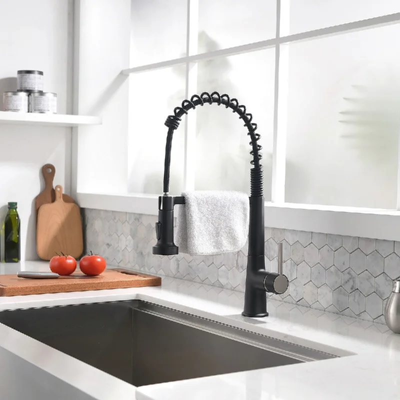 Single Handle High Arc Pull Out Sprayer Kitchen Faucet - 4.56'' x 8.86''