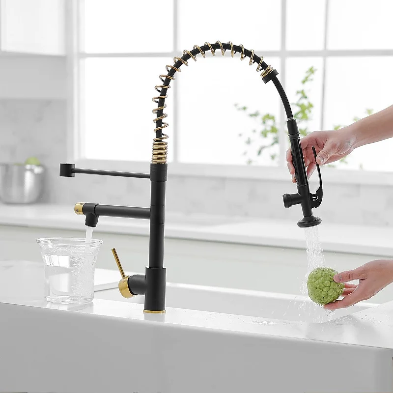 Single Handle High Arc Pull Out Sprayer Kitchen Faucet