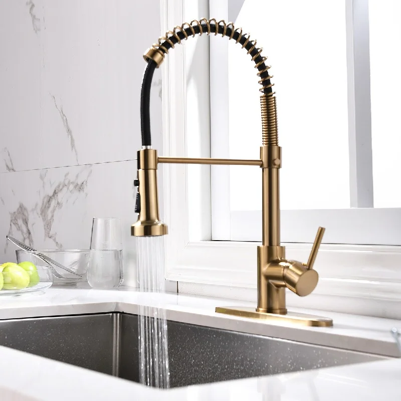 Single Handle High Arc Pull Out Sprayer Kitchen Faucet with Deck Plate in Brushed Gold - 2.3'' x 9''