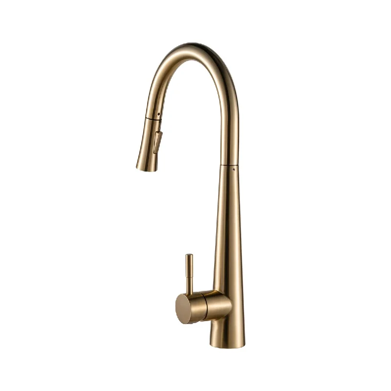 Single Handle Kitchen Faucet in Gold Finish