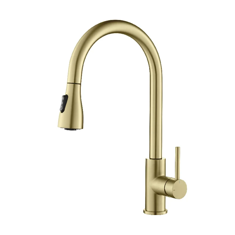 Single Handle Pull Down Kitchen Faucet