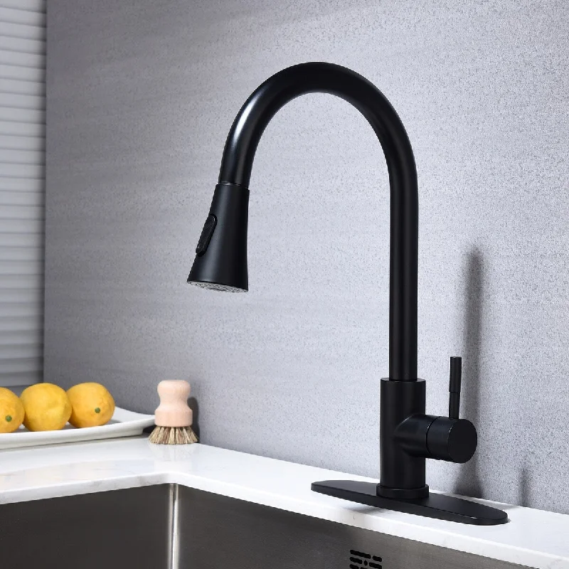 Single Handle Pull-down Kitchen Faucet Matte Black