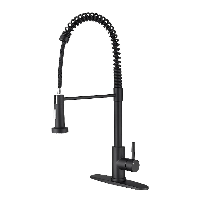 Single-Handle Pull-Down Sprayer Kitchen Faucet