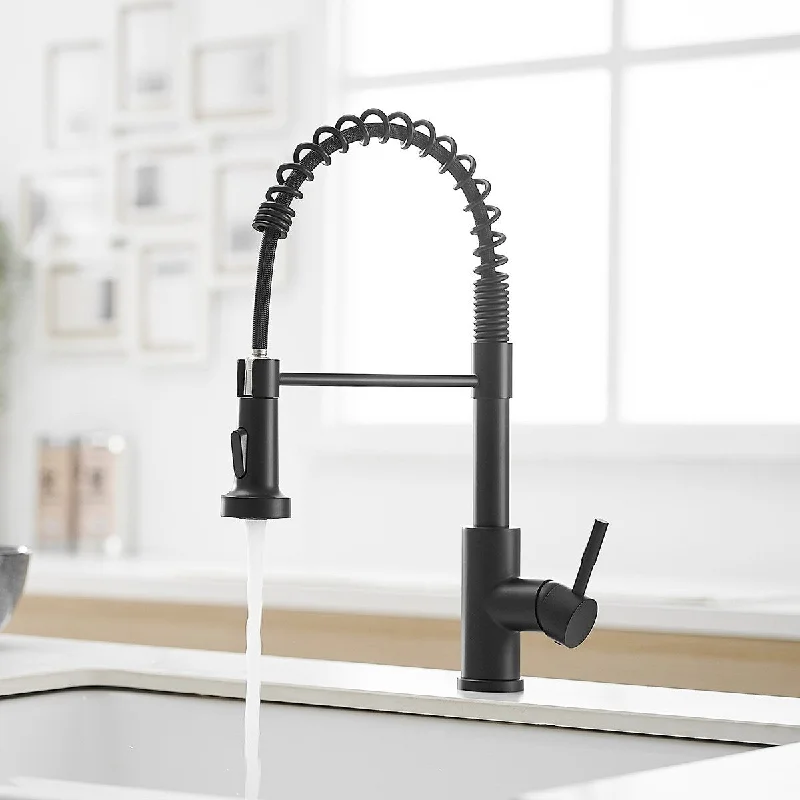 Single-Handle Pull Down Sprayer Kitchen Faucet in Black