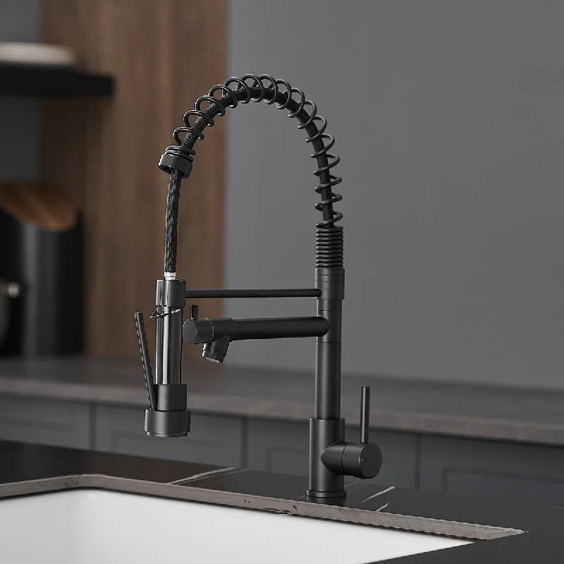 Single-Handle Pull Down Sprayer Kitchen Faucet in Black