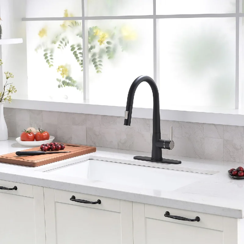 Single Handle Pull Down Sprayer Kitchen Faucet with Advanced Spray in Black - 10'' x 9.5''