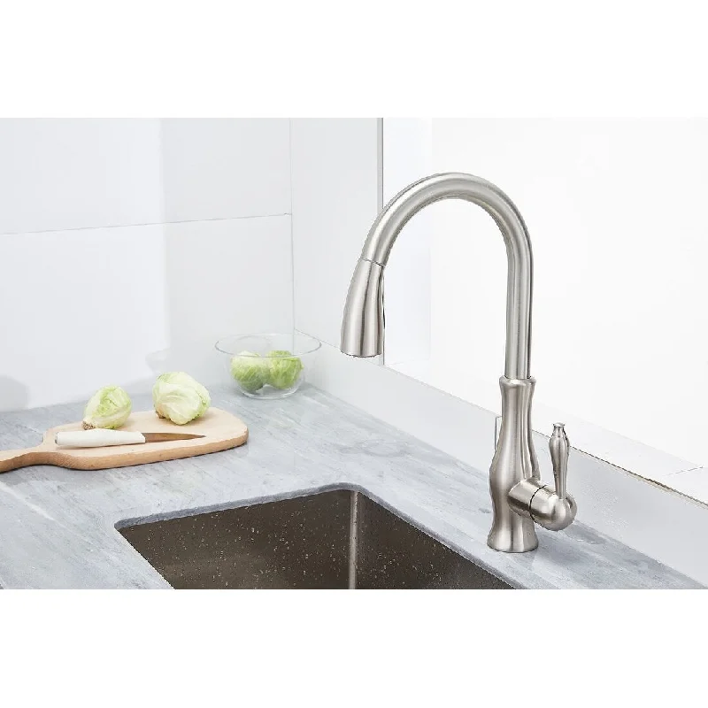 Single Handle Pull-out Kitchen Faucet Brushed Nickel