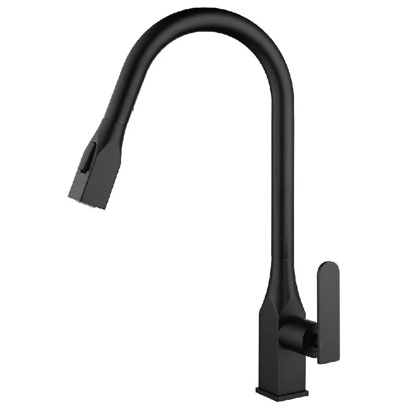 Single Handle Pull-out Kitchen Faucet Matte Black