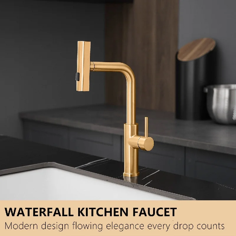 Single-Handle Pull Out Sprayer Kitchen Faucet in Brushed Gold