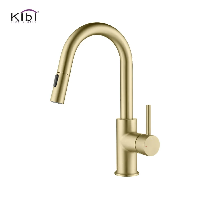 Single-Hole Pull-Down Kitchen Faucet with Sprayer and Magnetic Docking