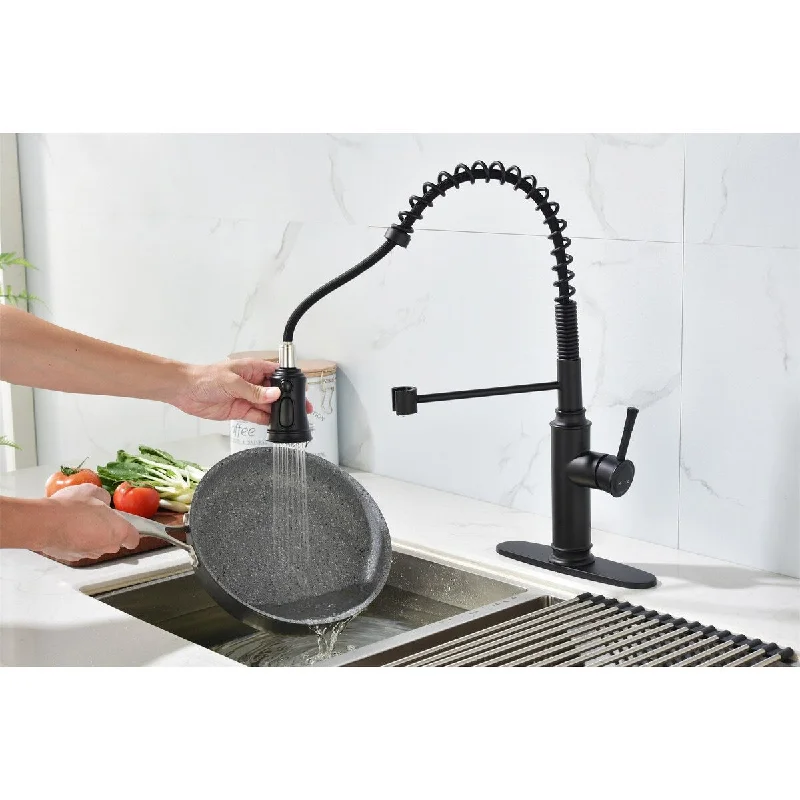 Stainless Steel Kitchen Faucet with Pull Down Sprayer