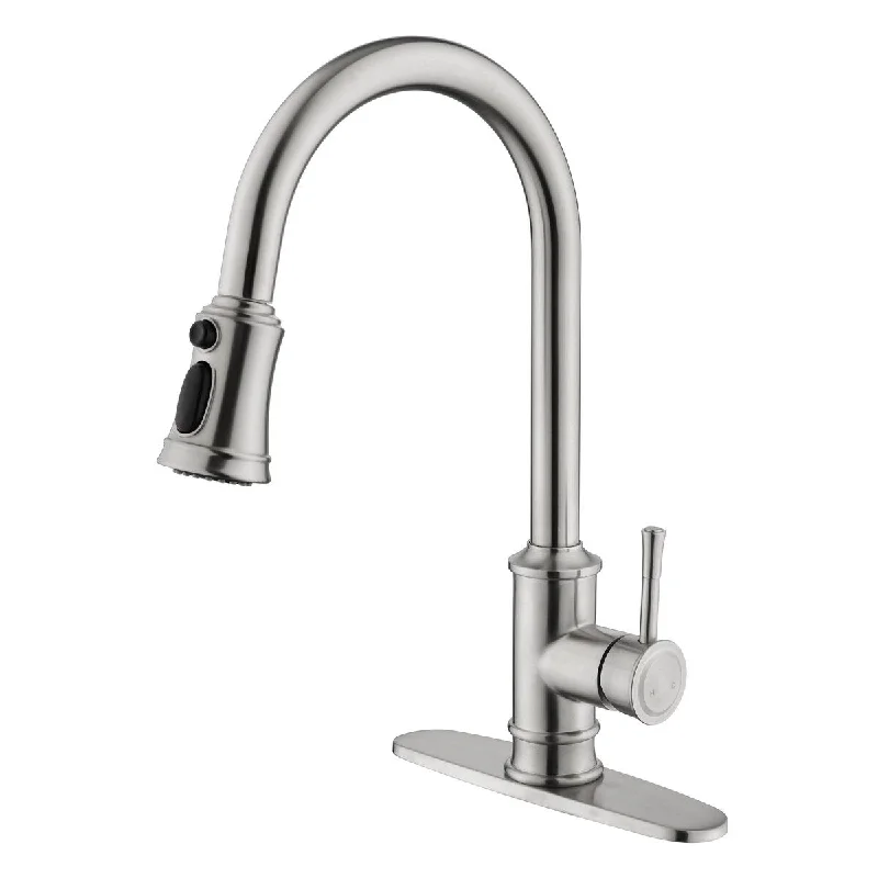 Stainless Steel Single Handle Kitchen Sink Faucet with Pull Out Sprayer