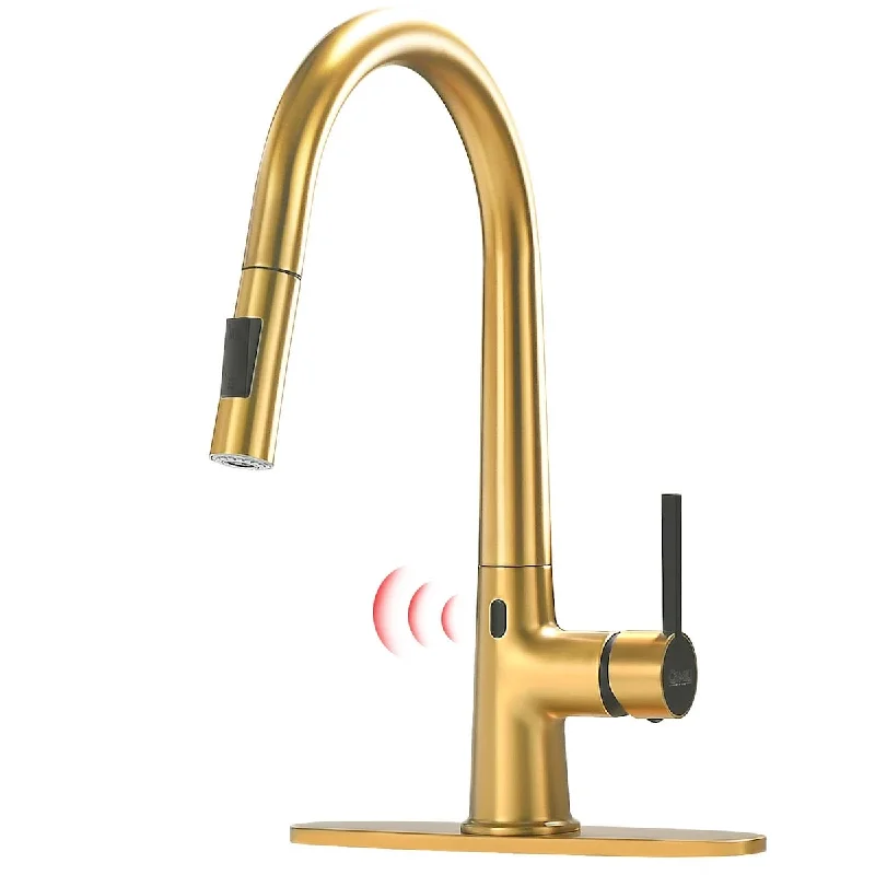 Touchless Kitchen Faucet with Pull Down Sprayer, High Arc Single Handle Motion Sensor Smart Activated Hands-Free Kitchen Faucet