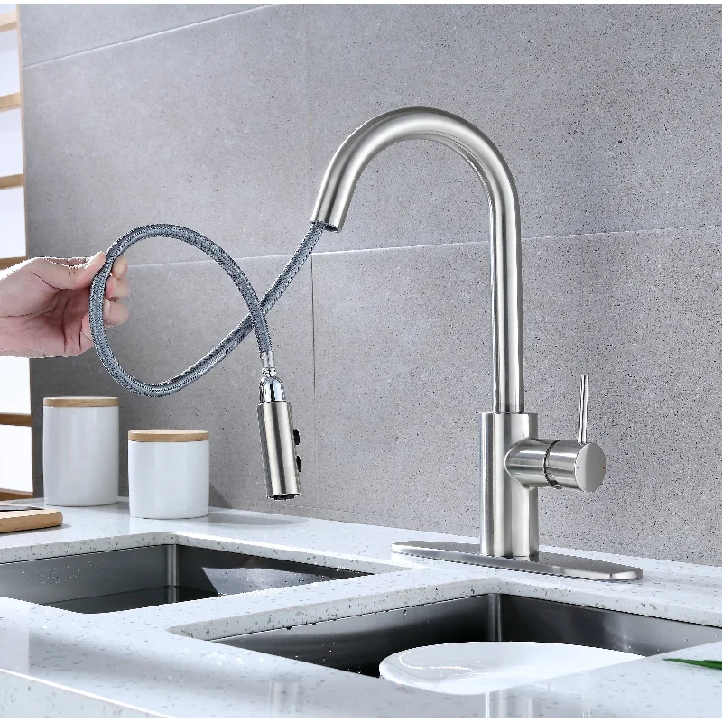 Ultra Faucets Euro Collection Single-Handle Kitchen Faucet With Pull-Down Spray