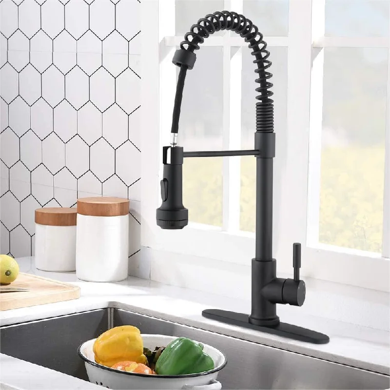 Vanityfair 2-Functions Single Handle Pull Down Sprayer Kitchen Sink Faucet