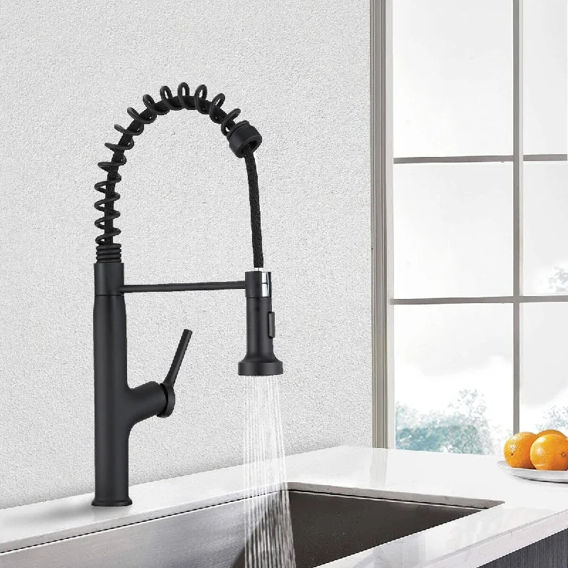 Vanityfair Pull Down Sprayer Spring Kitchen Faucet , Single Hole and 3 Hole Deck Mount